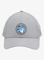 Sonic The Hedgehog Biodry Snapback Hat