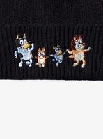 Bluey Heeler Family Beanie — BoxLunch Exclusive