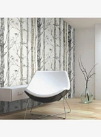 Birch Trees Brown Peel & Stick Wallpaper