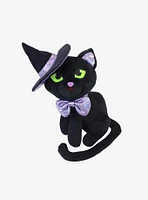 Wanda The Witch Cat