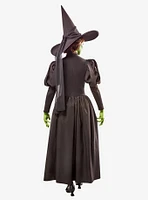 The Wizard of Oz Deluxe Wicked Witch Adult Costume