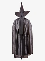 The Wizard of Oz Deluxe Wicked Witch Adult Costume