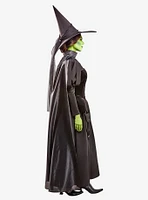 The Wizard of Oz Deluxe Wicked Witch Adult Costume