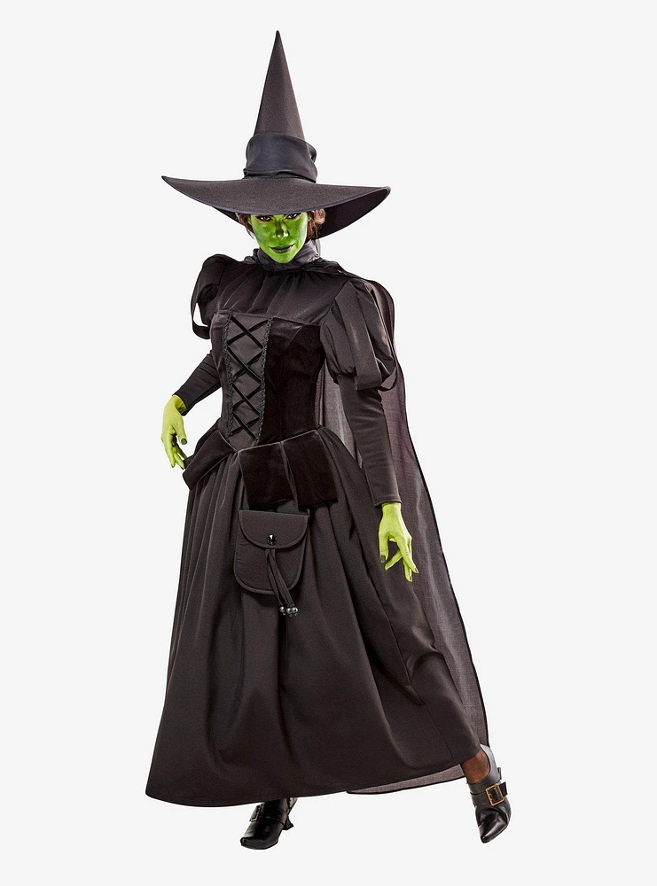 The Wizard of Oz Deluxe Wicked Witch Adult Costume