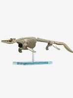 Bandai Spirits Plannosaurus Mosasaurus Model Kit