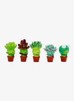 Succulent Friends Blind Box Succulent Figure