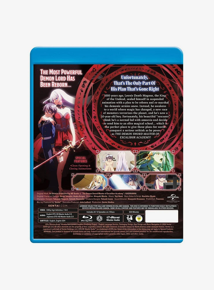 The Demon Sword Master Of Excalibur Academy: Season 1 Blu-Ray Disc