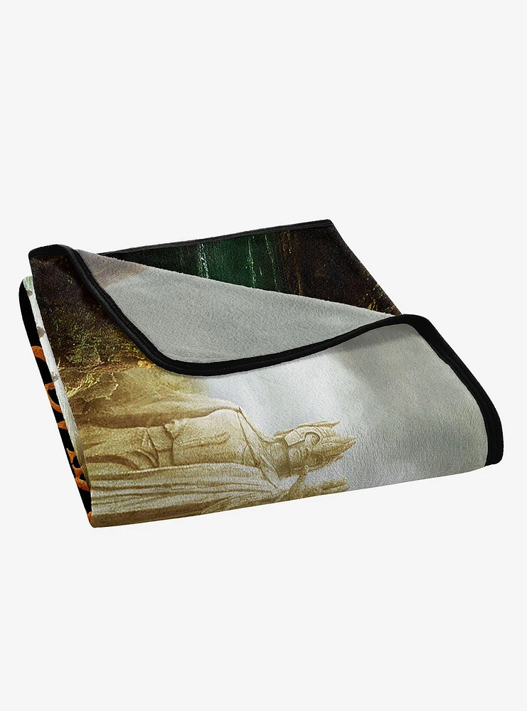 Lord of The Rings Legend Micro Raschel Throw