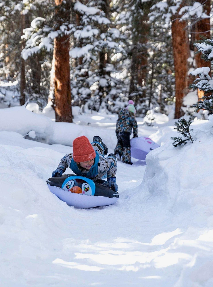 Penguin Snow Sled