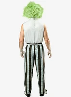 Beetlejuice Deluxe Costume