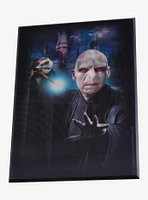 Harry Potter Voldemort Lenticular Wall Art