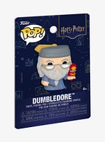 Funko Pop! Harry Potter Character Blind Assorted Vinyl Figure Pin