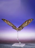Bandai Spirits Godzilla x Kong: The New Empire S.H.MonsterArts Suko & Mothra Figure Set