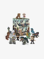 Funko Mystery Minis Jurassic World Blind Box Figure