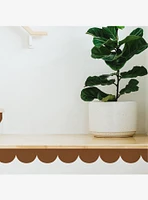 Brown Peel & Stick Scallop Border Decal