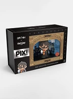 Thrilljoy Harry Potter Pix! Premium Collectible Figure