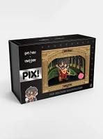 Thrilljoy Harry Potter Pix! Premium Collectible Figure