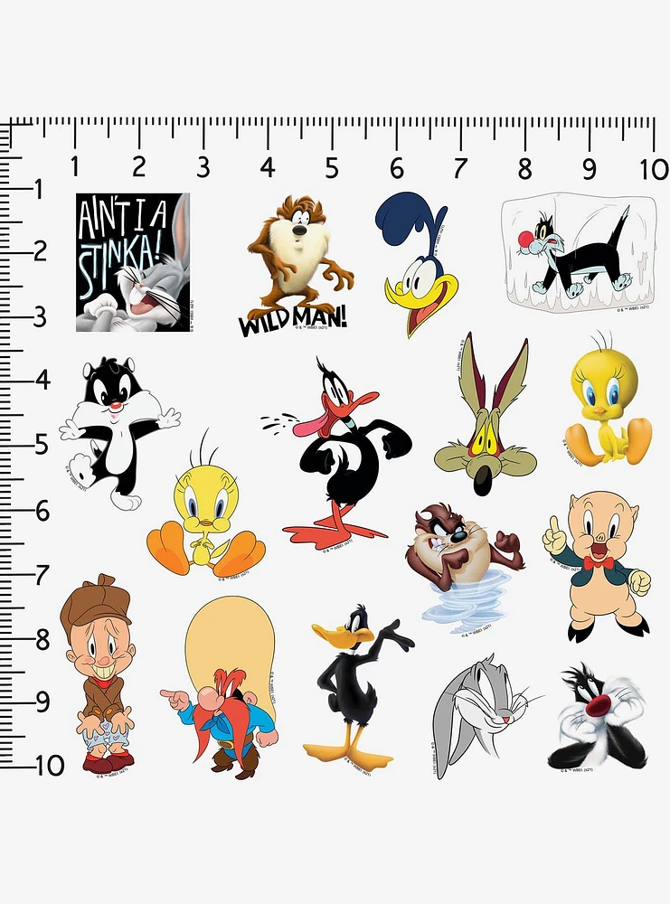 Looney Tunes 100ct Vinyl Stickers Variety Pack