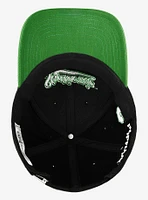 Harry Potter Slytherin Tail Ball Cap