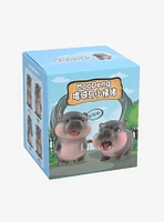 Hippo Fun Blind Box Figure