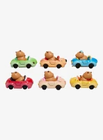 Capybara Cars Blind Box Figure