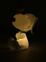 Peanuts Snoopy & Woodstock Figural Mood Light