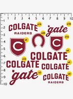 Colgate University Raiders 100Ct Sticker Pack