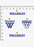 Wellesley College 100ct Sticker Pack