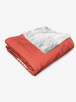 Harry Potter Leaky Cauldron Silk Touch Sherpa Throw Blanket