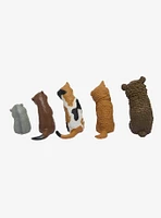 BCmini Sleepy Animals Blind Box Figure