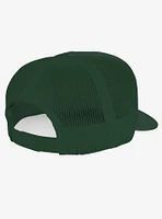 Teenage Mutant Ninja Turtles Logo Foam Trucker Hat