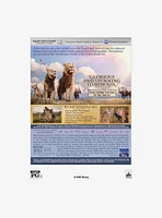 Disney Mufasa: The Lion King DVD