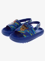 Paw Patrol Toddler & Kids Slides