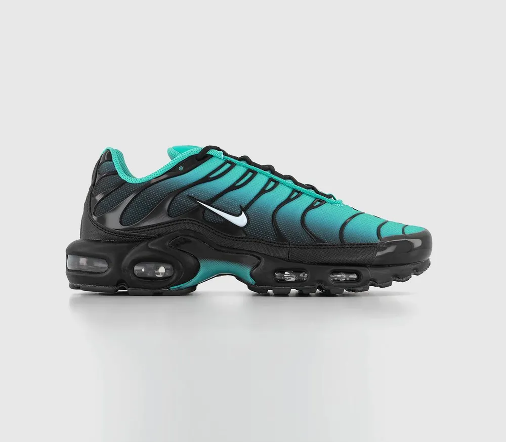 air max plus trainers