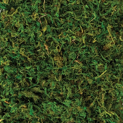 Natural Moss, 4.2oz