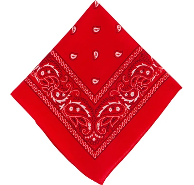 Paisley Bandana