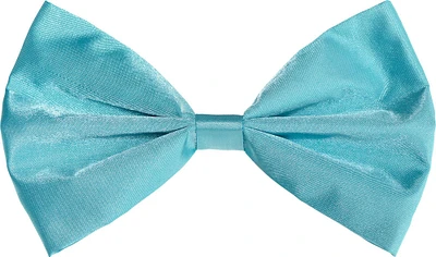 Turquoise Bow Tie