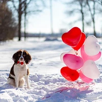 6ct, 12in, Red Heart Latex Balloons