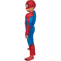 Toddlers' Spider-Man Deluxe Muscle Costume