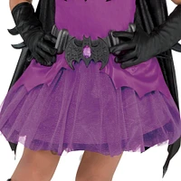 Toddler Girls Purple Batgirl Costume - Batman