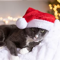 Pet Santa Hat