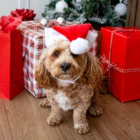 Pet Santa Hat