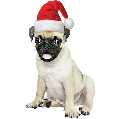 Pet Santa Hat