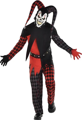 Adult Wild Jester Costume