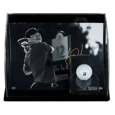 Tiger Woods 'Tiger Drive' Curve Display