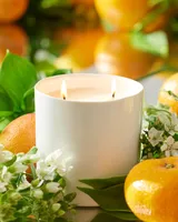 Orchard Royale Candle by Alla Costa