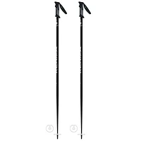Vector Ski Pole [2025]