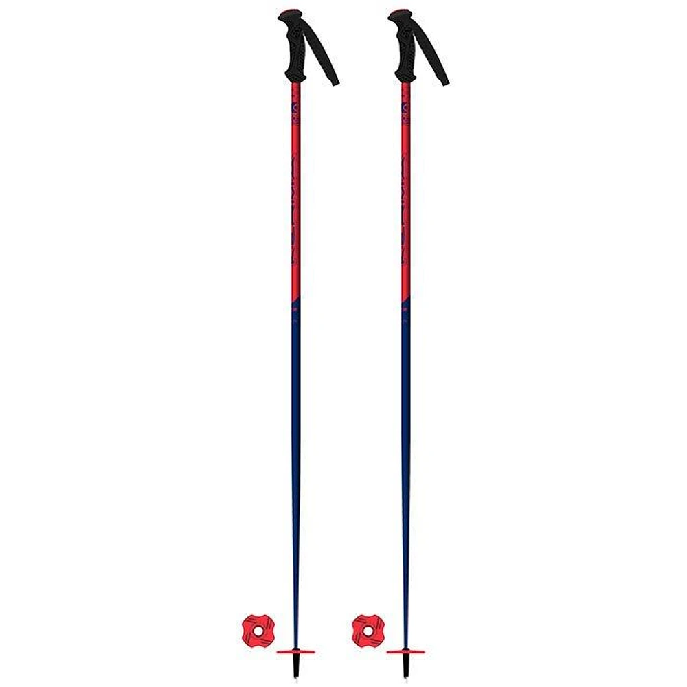 Juniors' Vector Team Ski Pole [2025]