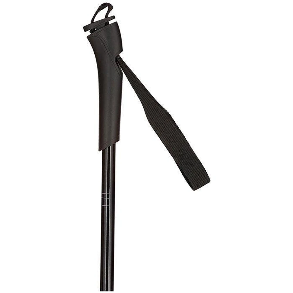 Juniors' FT-501 Ski Pole [2022]