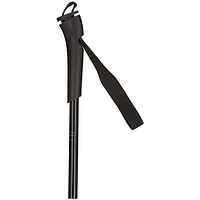 Juniors' FT-501 Ski Pole [2022]